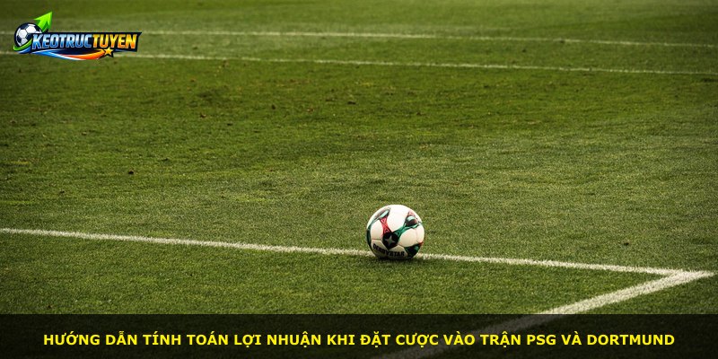 Hướng dẫn tính toán lợi nhuận khi đặt cược vào trận PSG và Dortmund